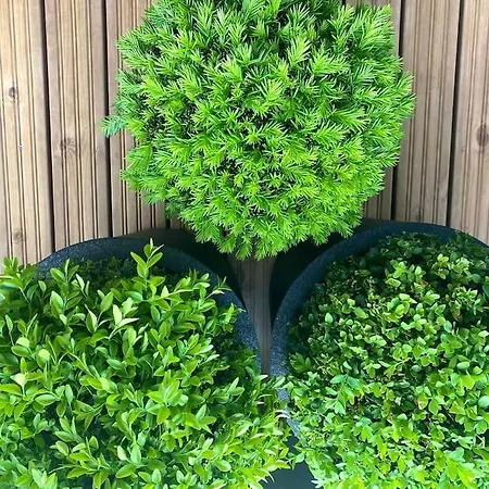 Goldfinger Yksioe Merinaekoealalla 7 Krs * 赫尔辛基